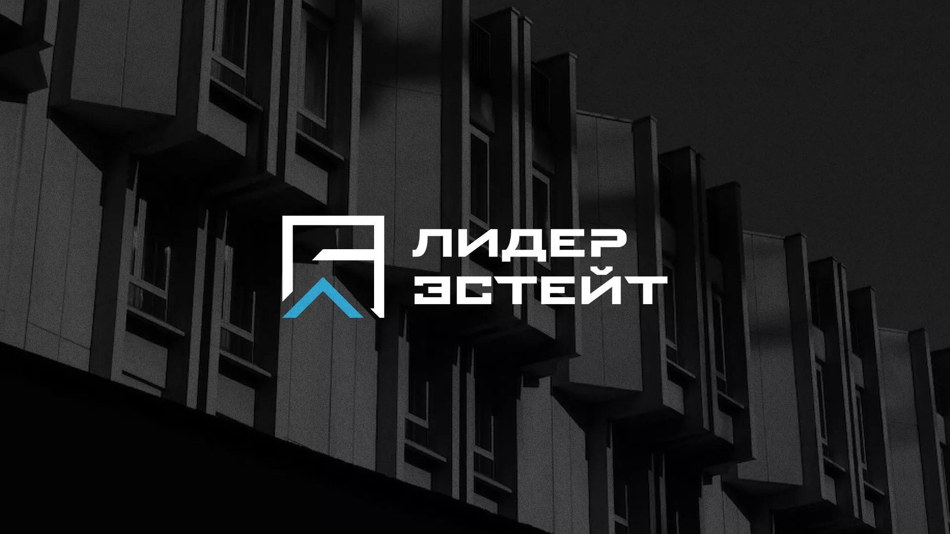 Разработка логотипа агентства недвижимости «Лидер Эстейт» в Шахтах